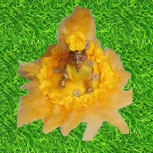 Laddu Gopal Fancy Dress with Choli and Mukut Set