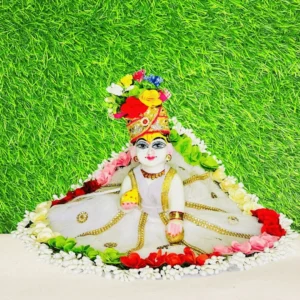 Multicolor Flower Laddu Gopal Dress