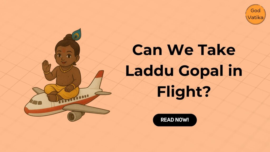 Can We Take Laddu Gopal in Flight?